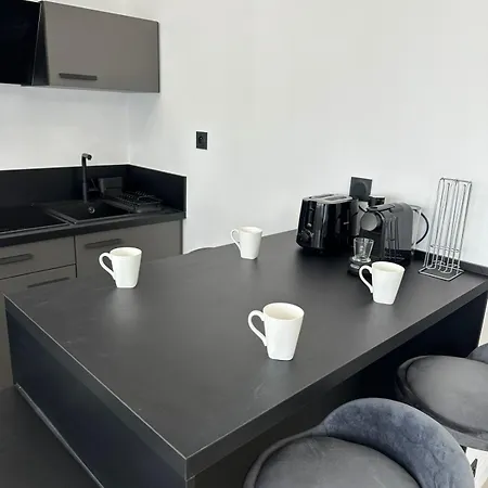 Contemporary For 4 People With Balcony Near Gratte-ciel Villeurb Apartment *