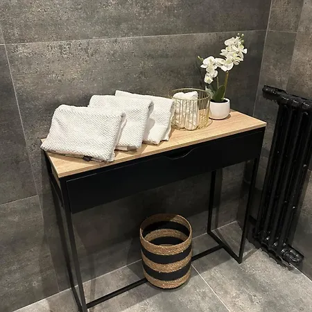 Contemporary For 4 People With Balcony Near Gratte-ciel Villeurb Villeurbanne